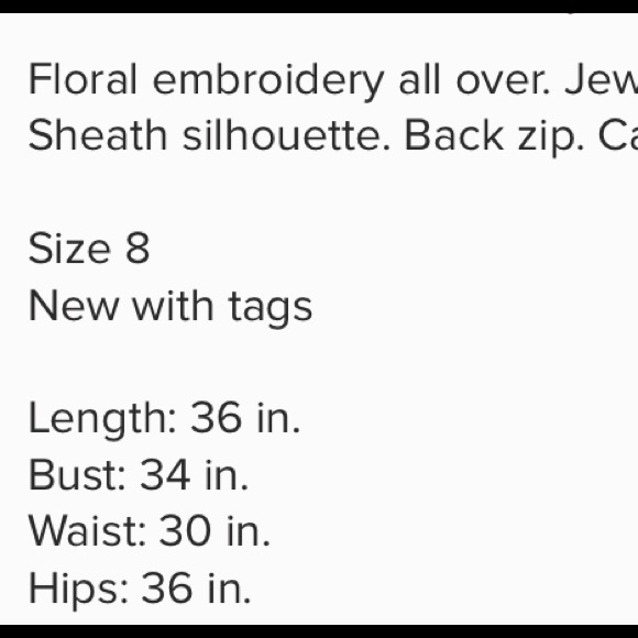 Cynthia Steffe Royal Blue Embroidered Dress - Picture 5 of 5